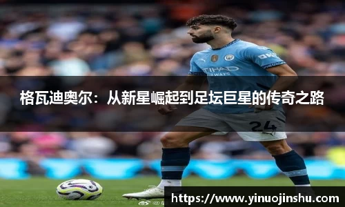 格瓦迪奥尔：从新星崛起到足坛巨星的传奇之路